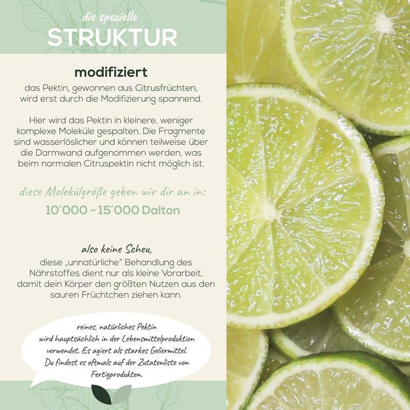 Eigenschaften von Sanutrition modifiziertes Citruspektin