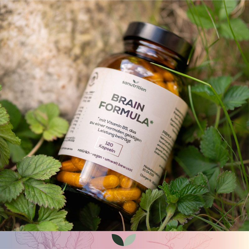 kaufe Brain Formula Kapseln von Sanutrition